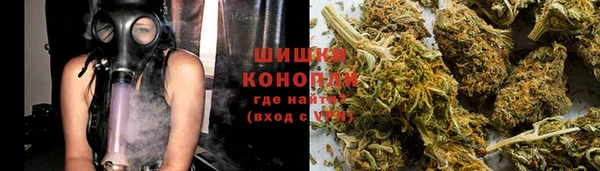 мяу мяу мука Богданович